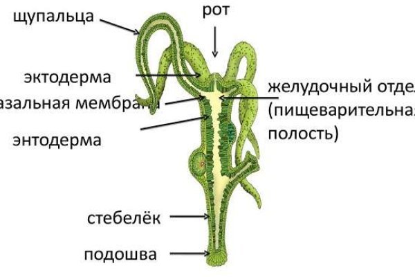 Kraken купить 3dark link com