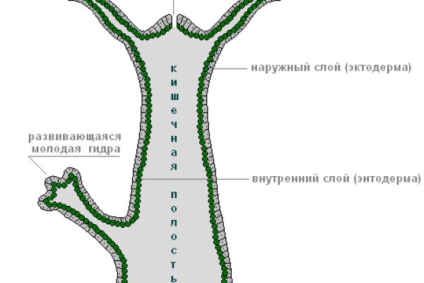 Зеркала на кракен