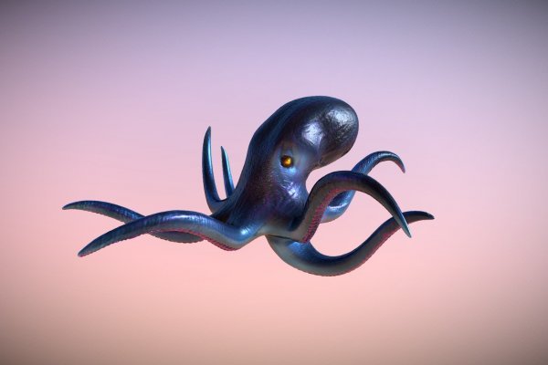 Kraken наркшоп