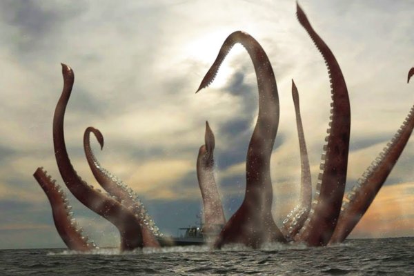 Http kraken2