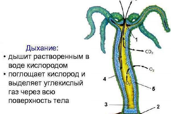 Кракен площадка нарко